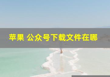 苹果 公众号下载文件在哪